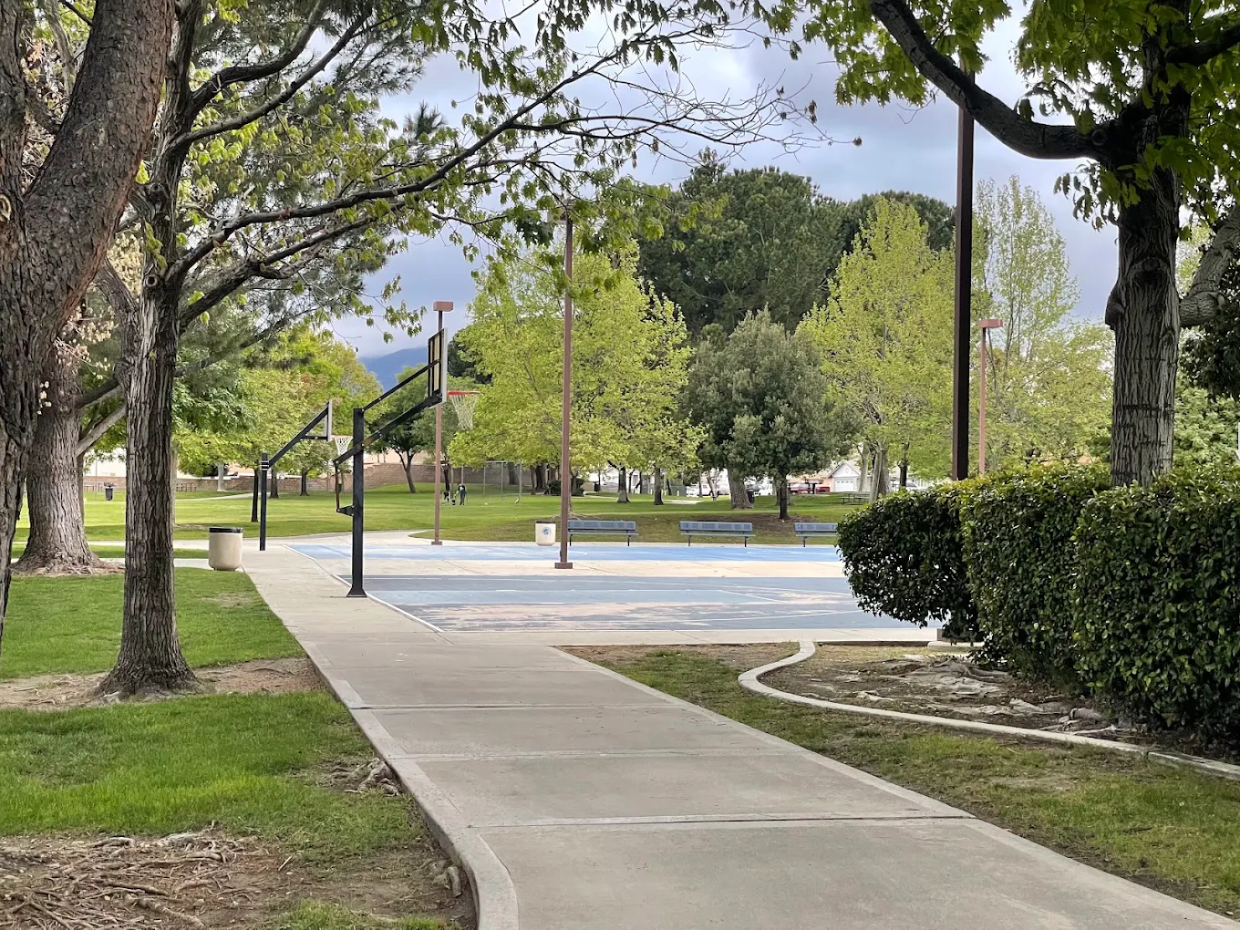 Alec Fergusson Park