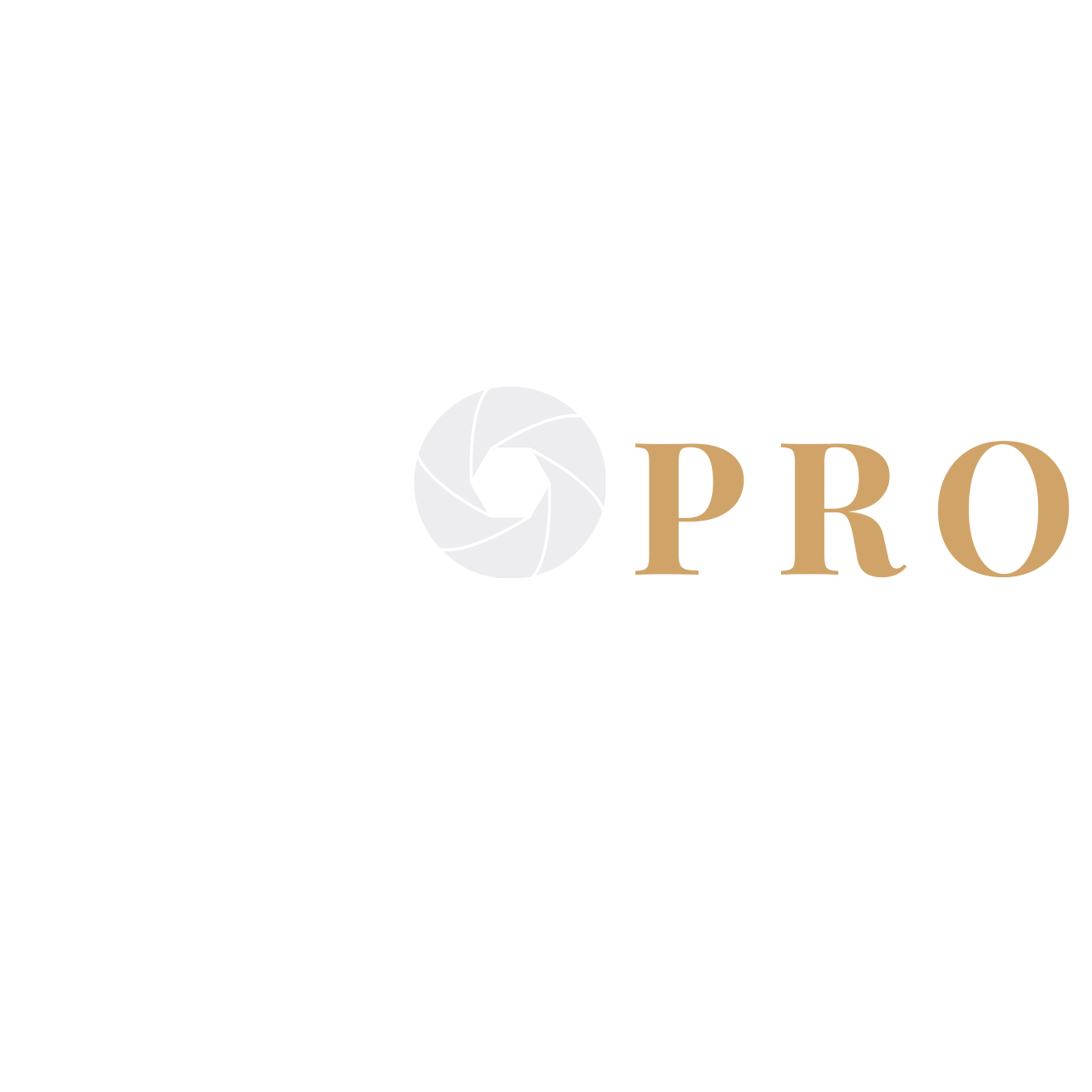 InfoPro Investigations, Inc.