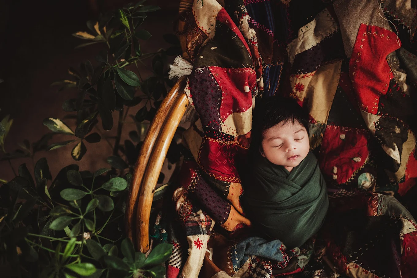 Twig & Olive Photography