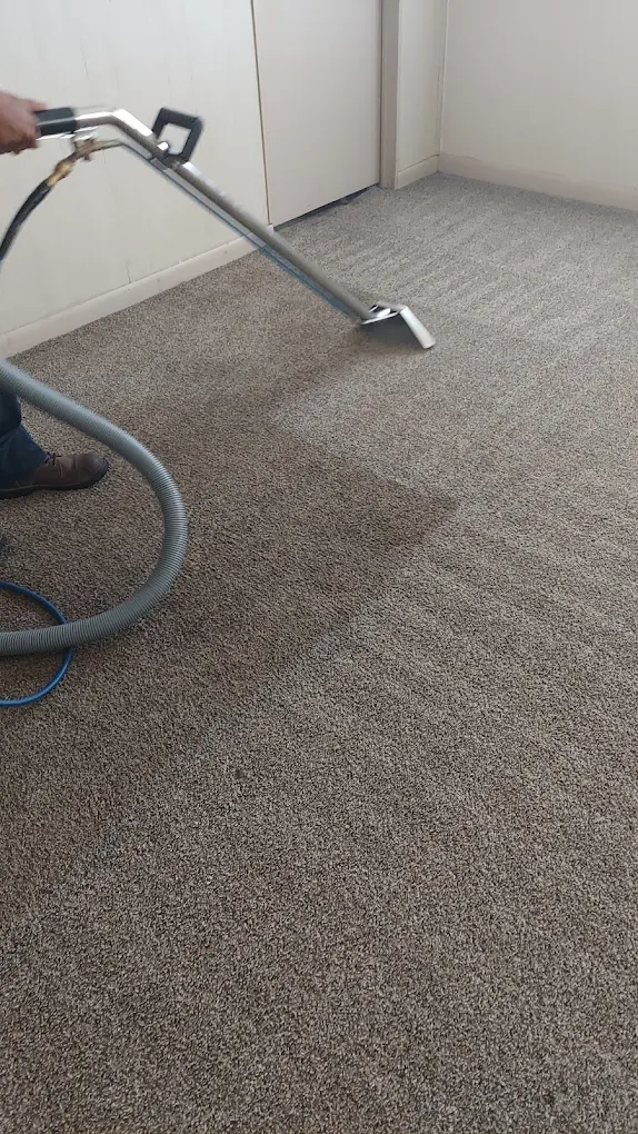 Joe Castillo Steam Cleaning