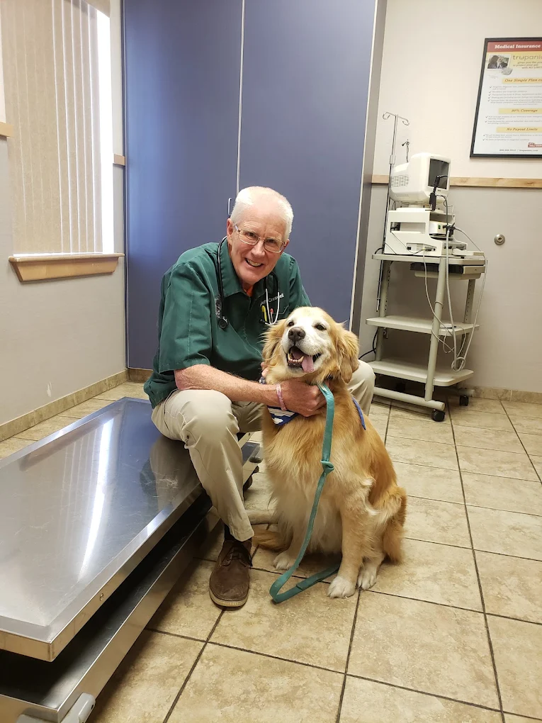 Rialto Animal Hospital