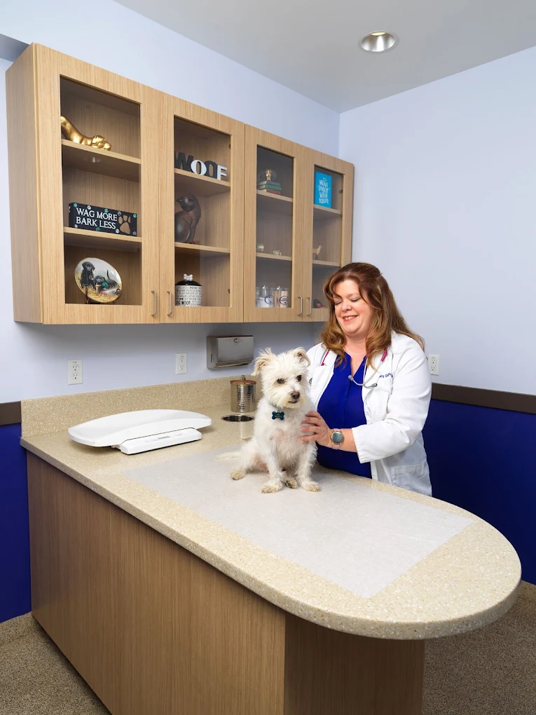 Valley Animal Hospital