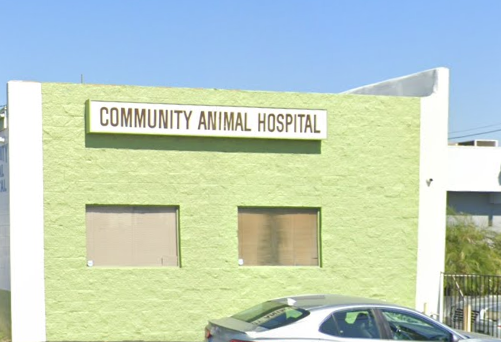 Community Animal Hospital