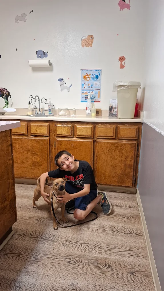 Community Animal Hospital