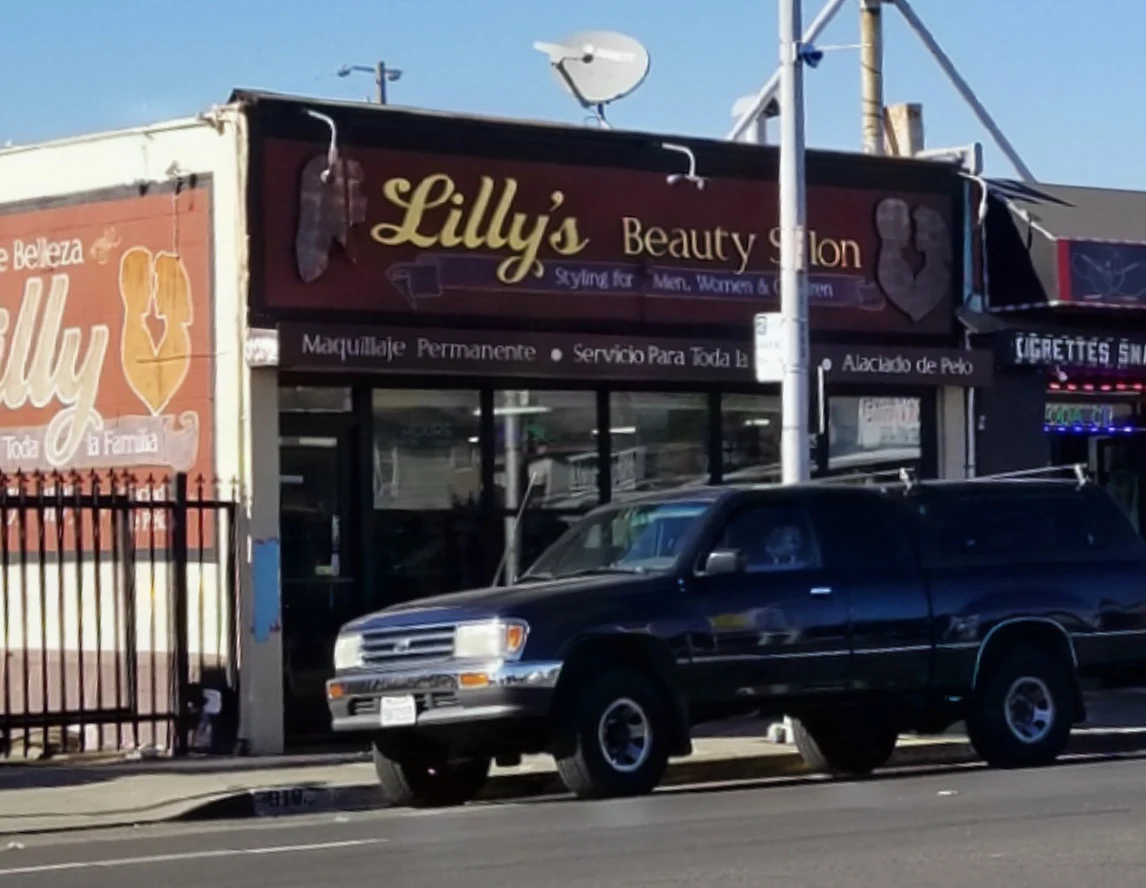 Lilly's Beauty Salon
