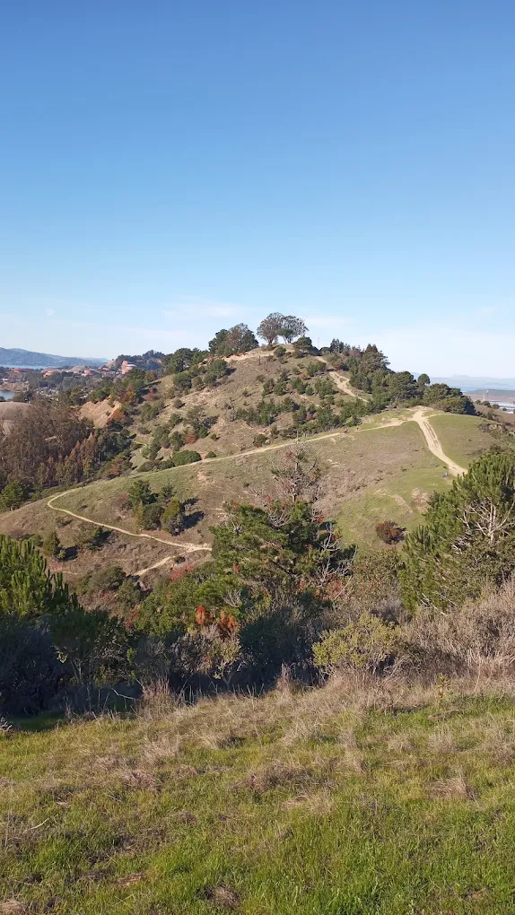 Miller/Knox Regional Shoreline