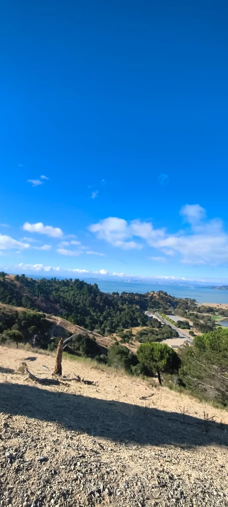 Miller/Knox Regional Shoreline