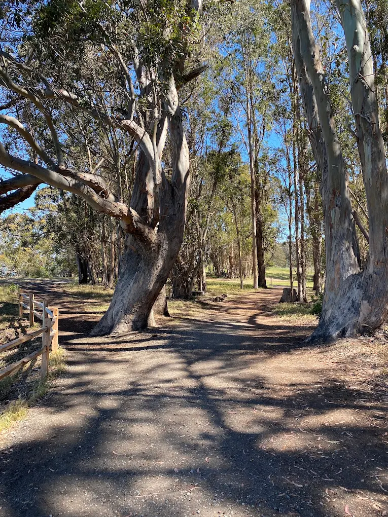 Point Pinole Regional Shoreline