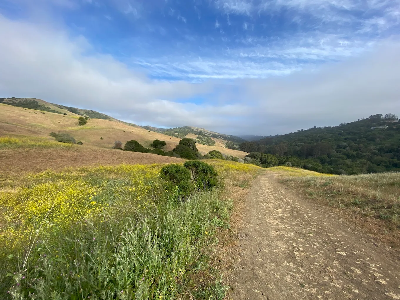 Wildcat Canyon Regional Park