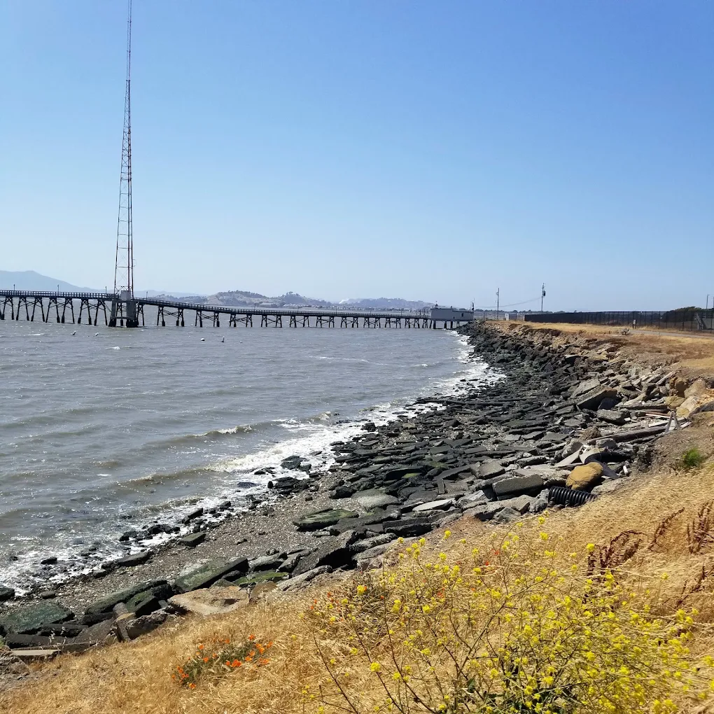 TEPCO Beach