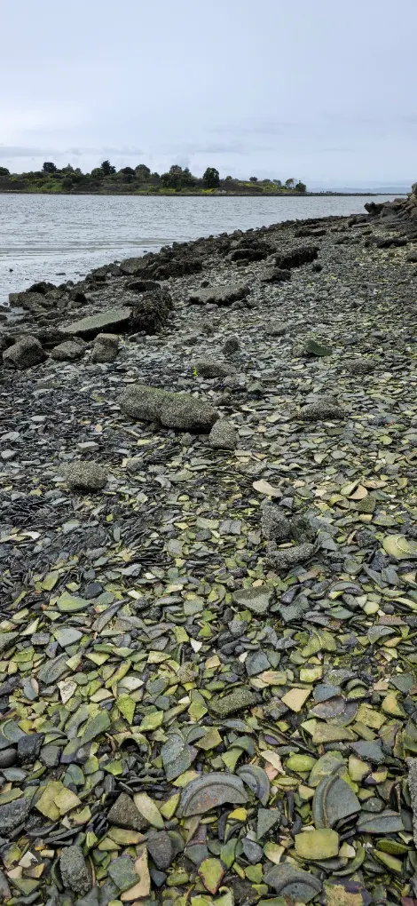 TEPCO Beach