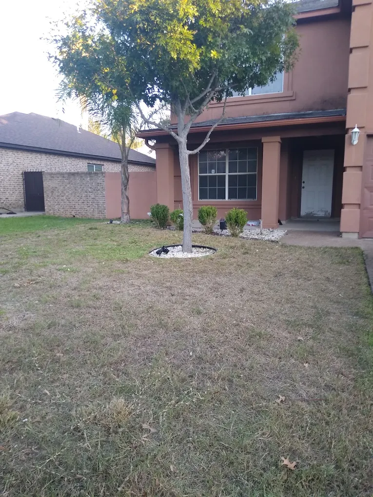 Laredo's Best Landscapers