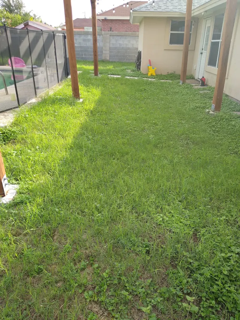 Laredo's Best Landscapers