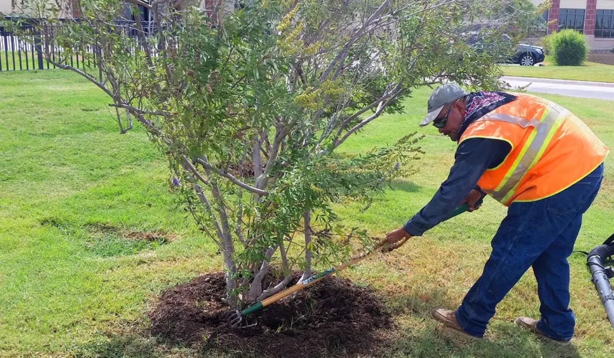 Olympia Landscape Development Inc