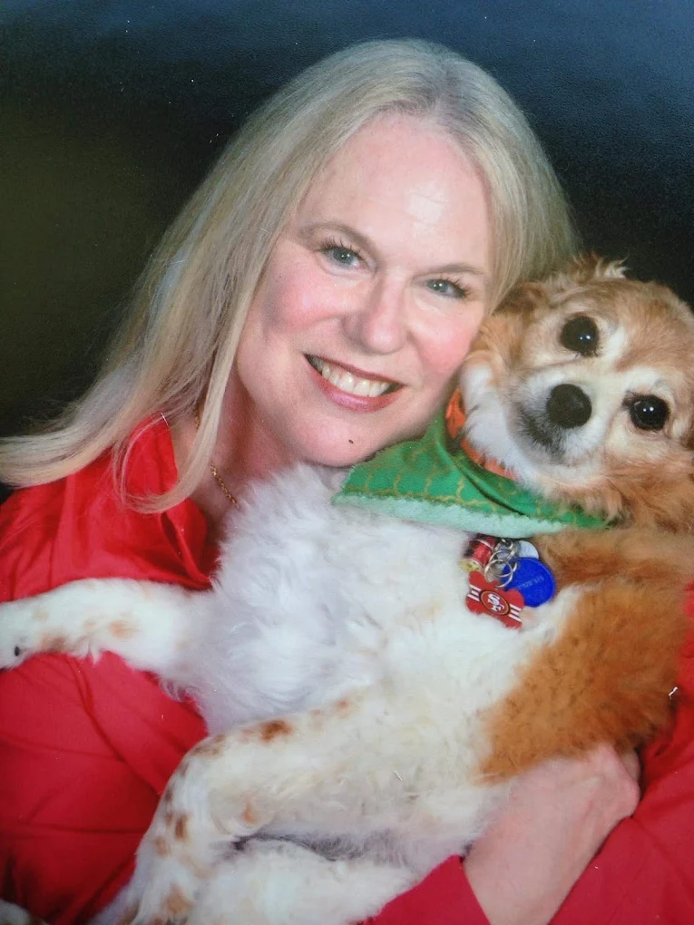 All Paws Holistic Vet Clinic