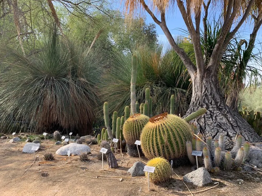 UC Riverside Botanic Gardens