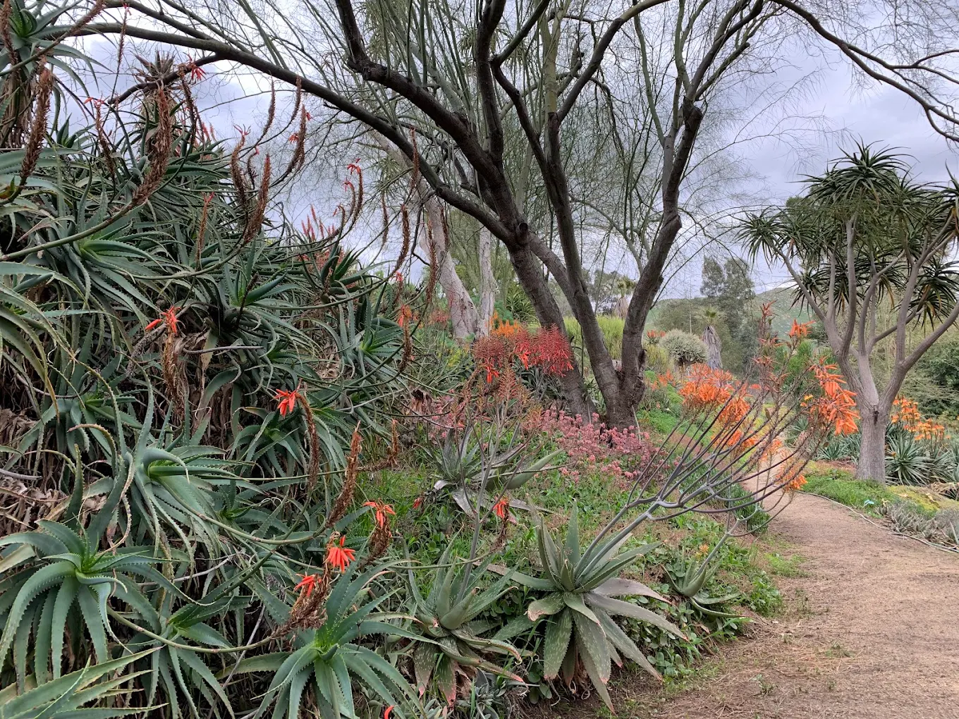 UC Riverside Botanic Gardens