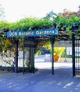 UC Riverside Botanic Gardens