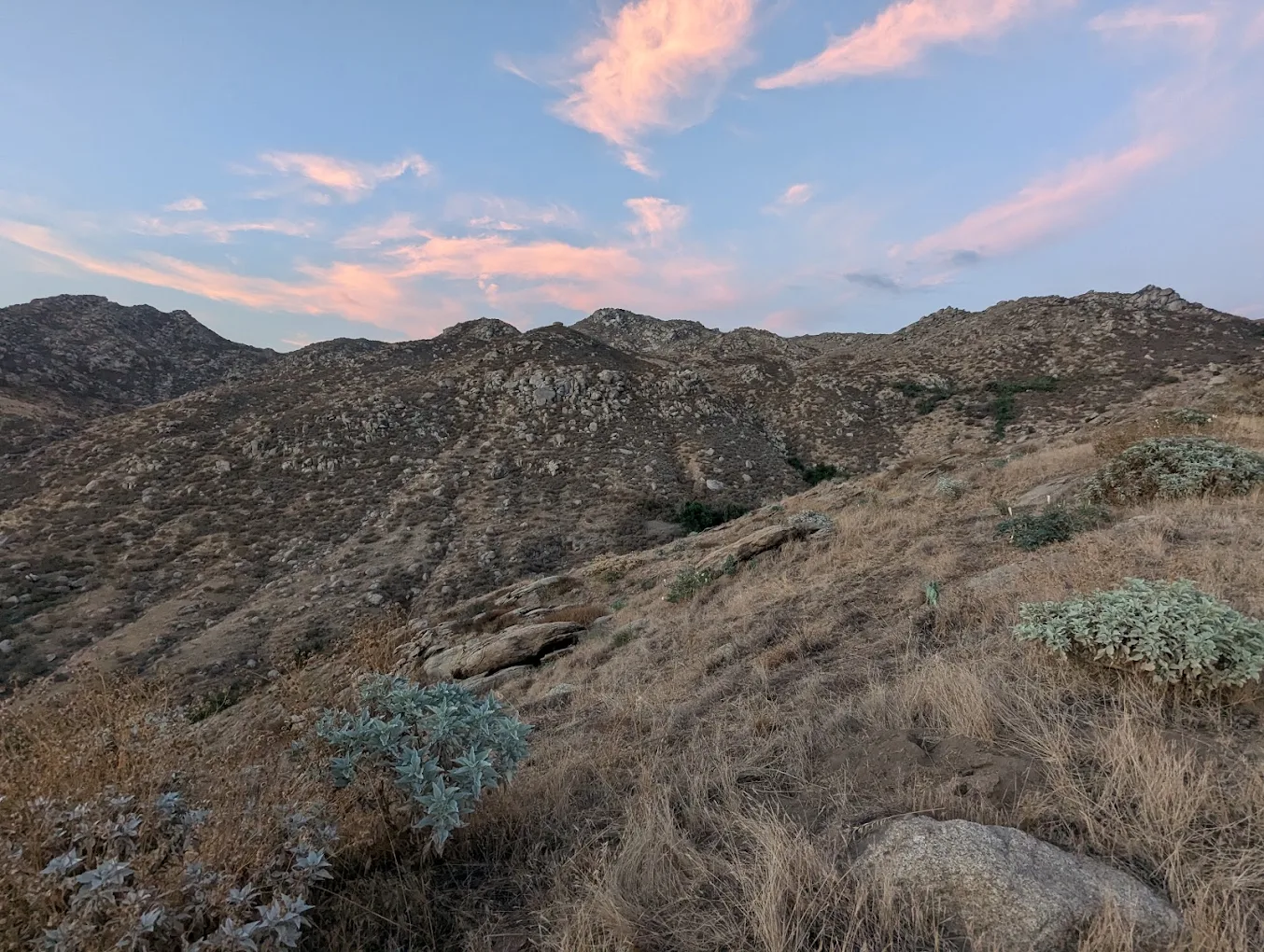Two Trees Trail