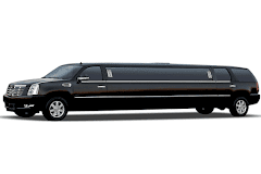 Amazing Limousines