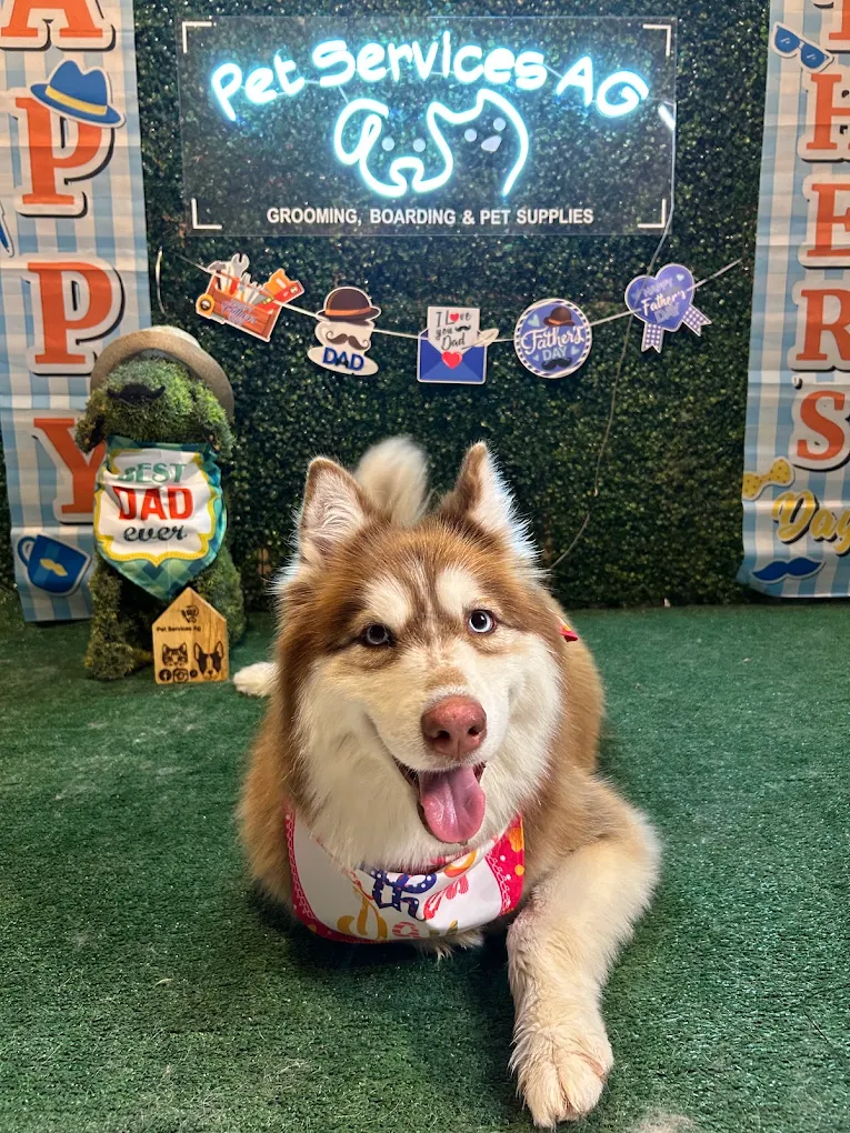 Pet Services AG