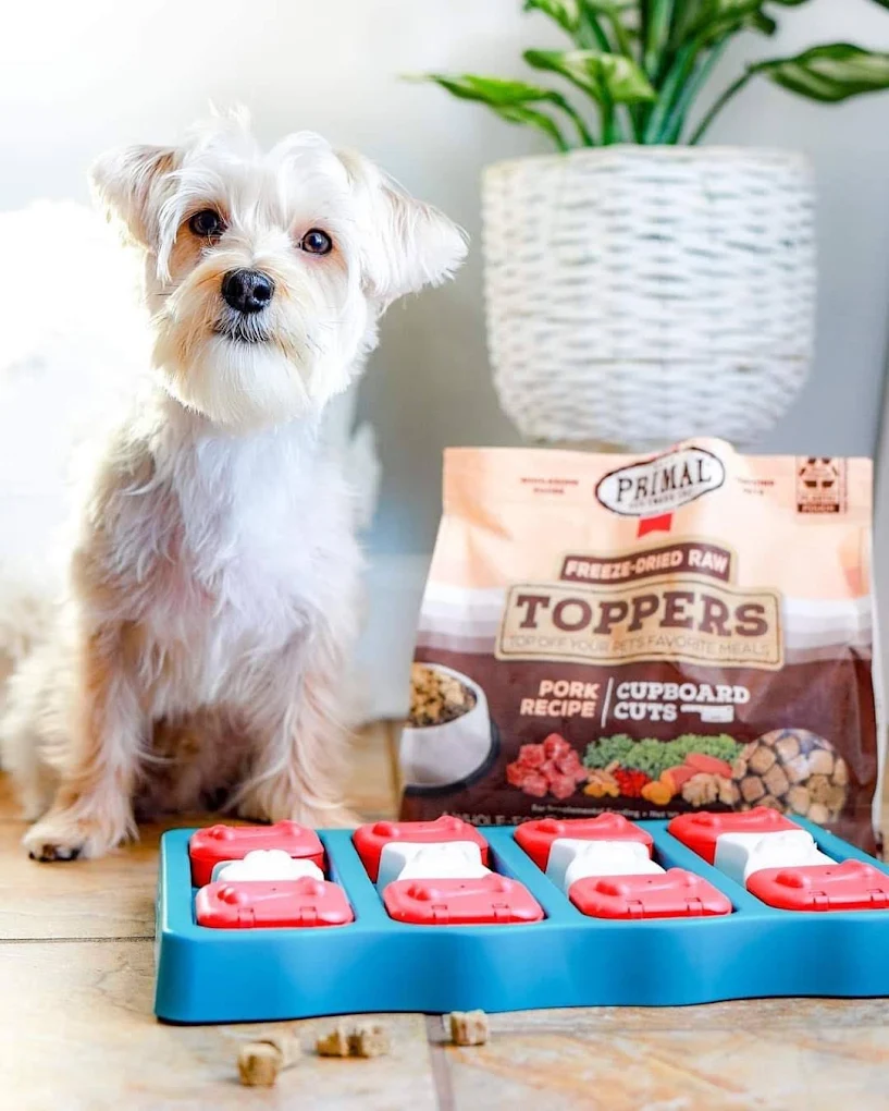 Woof Gang Bakery & Grooming