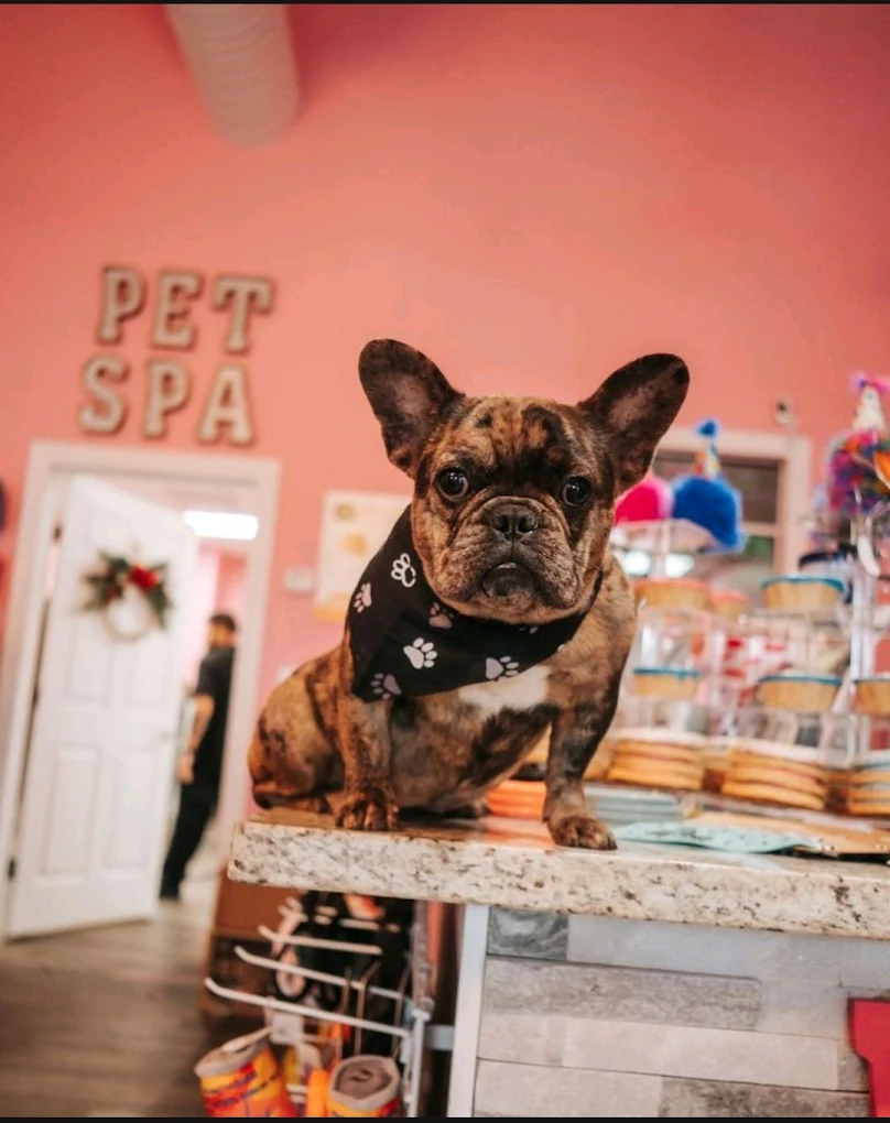 Woof Gang Bakery & Grooming