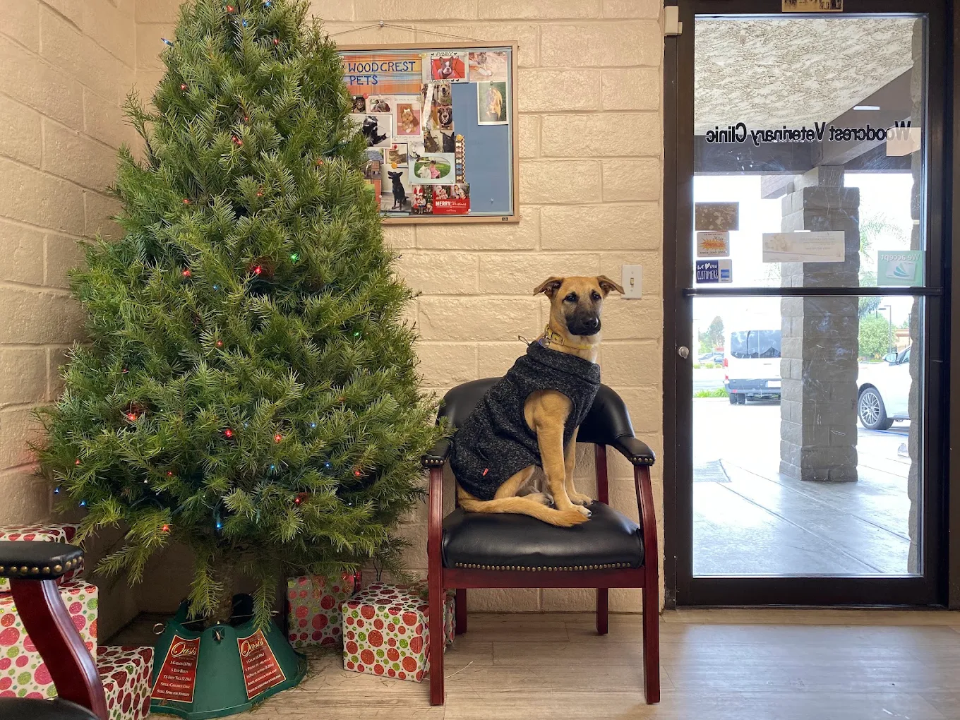Woodcrest Veterinary Clinic