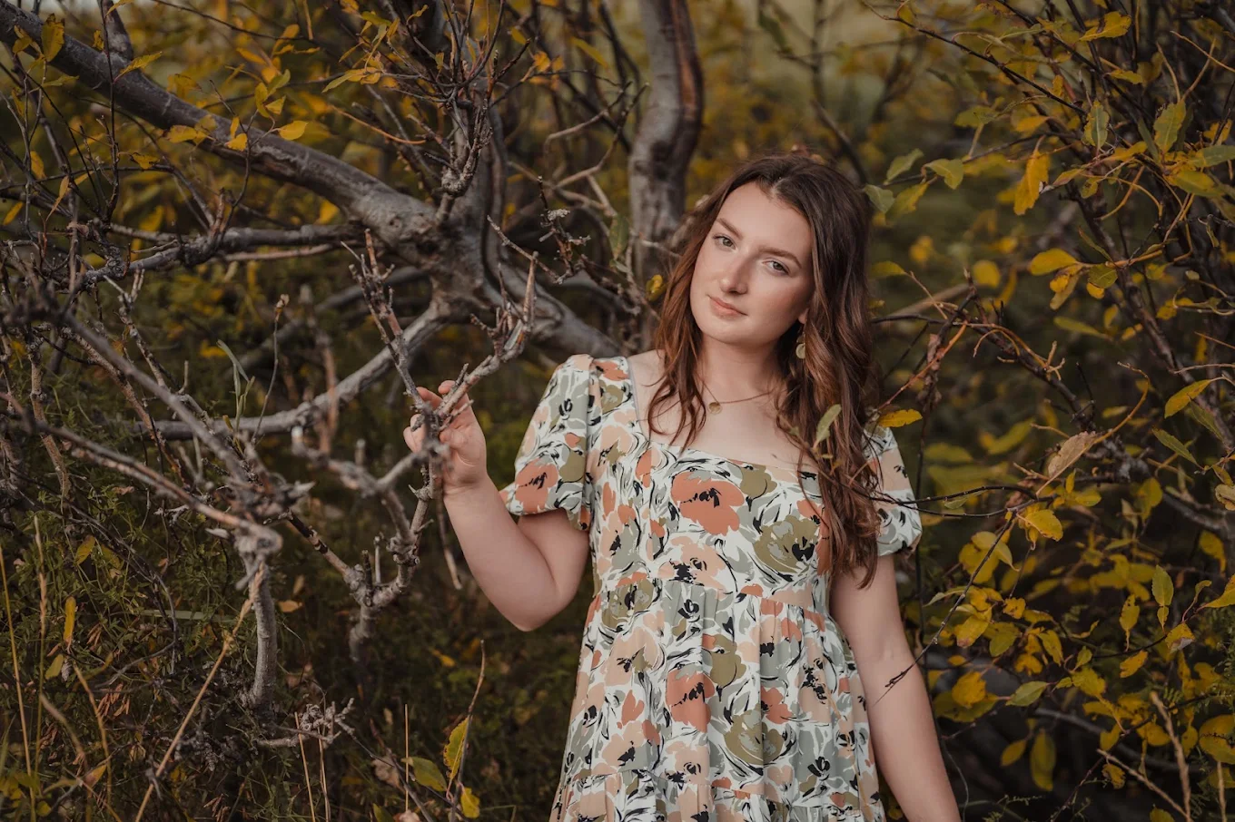 Kevin Hedin Photography