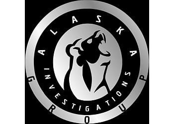 Alaska Investigations Group