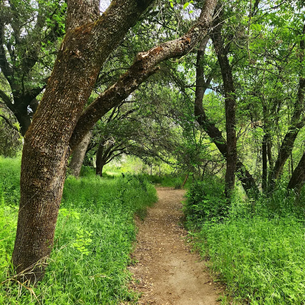 Lincoln Estates Park