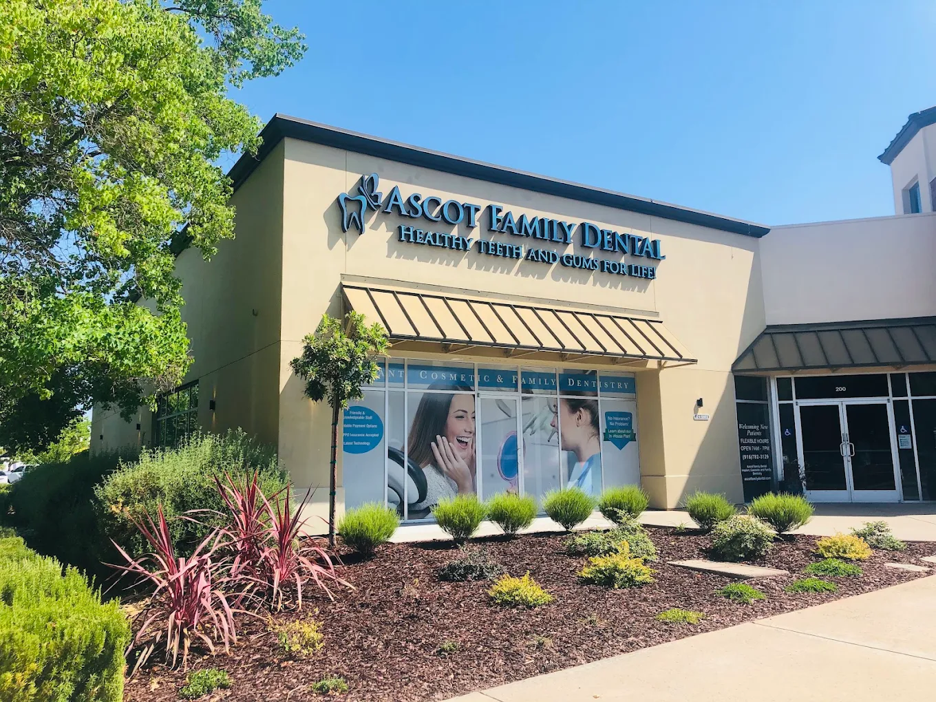 Ascot Family Dental