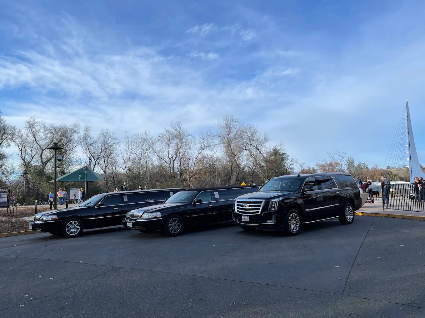 NorCal Limousine Services LLC