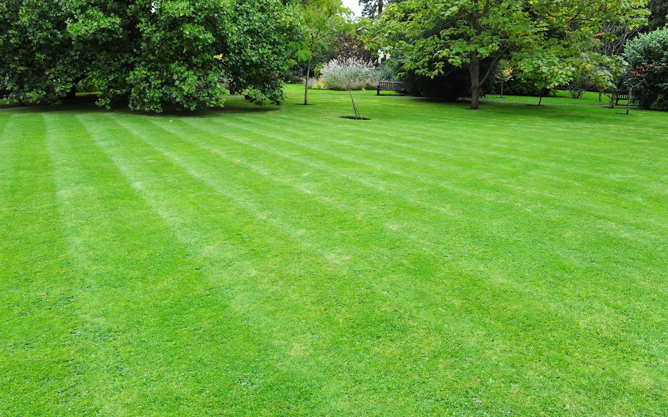 Lubbock General Lawn Care