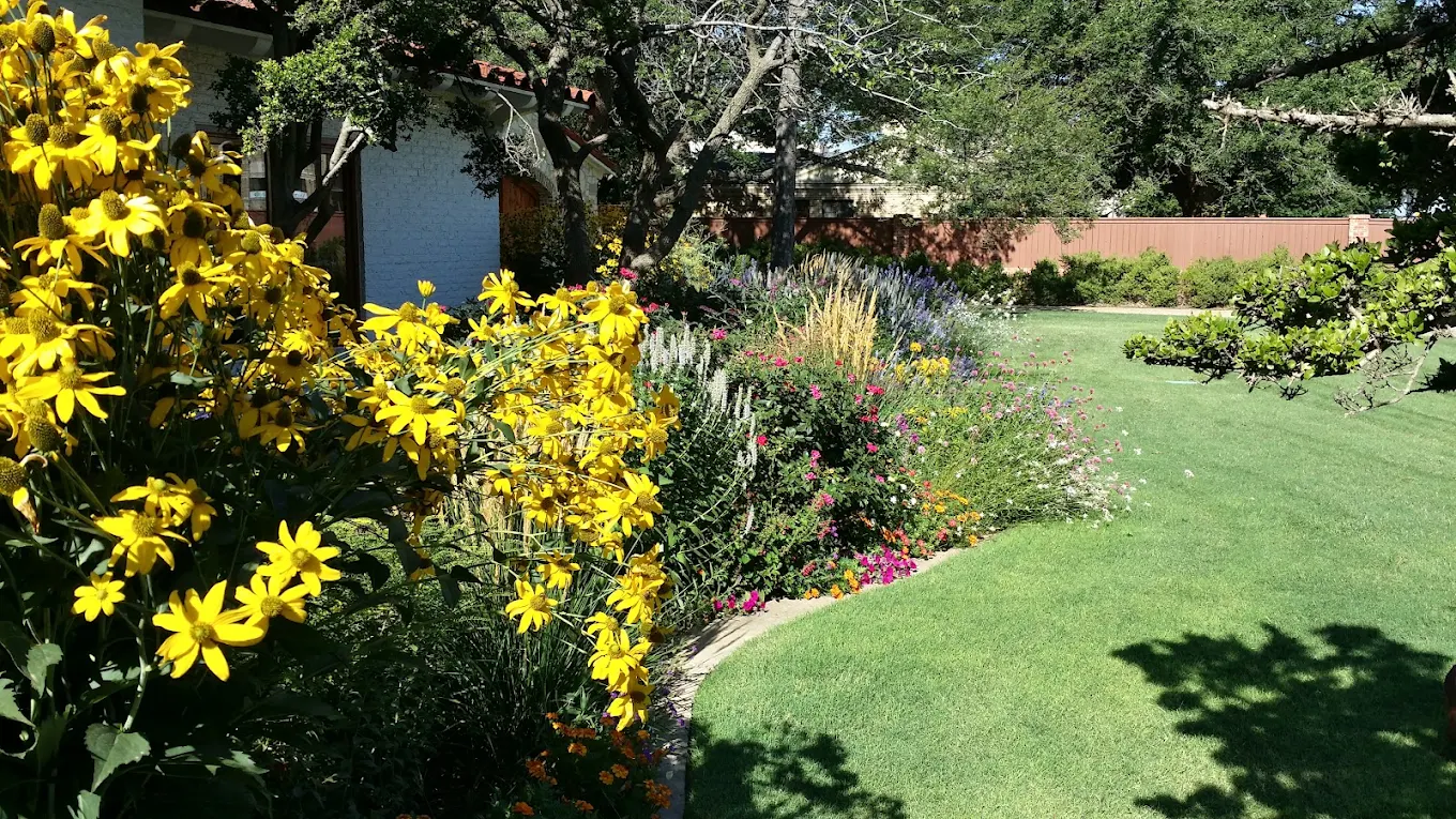 Dana Palmer Healthy Lawns & Weed Control