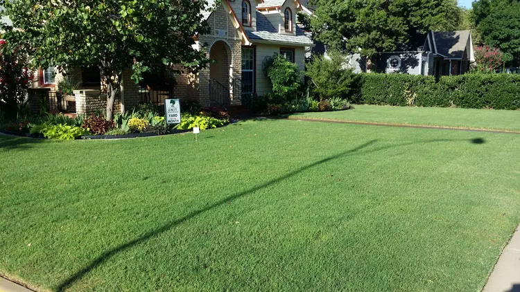 Dana Palmer Healthy Lawns & Weed Control