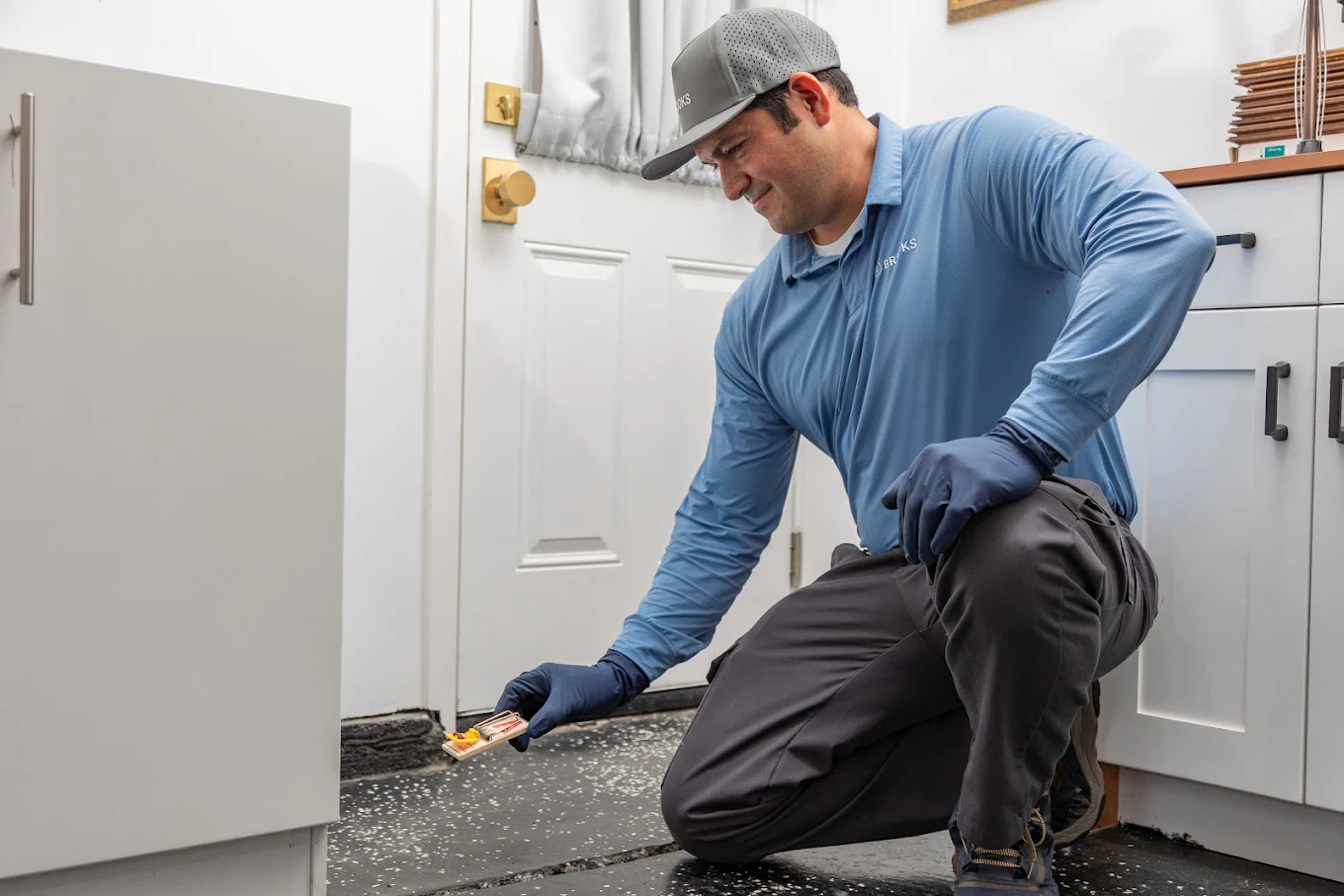 Brooks Pest Solutions