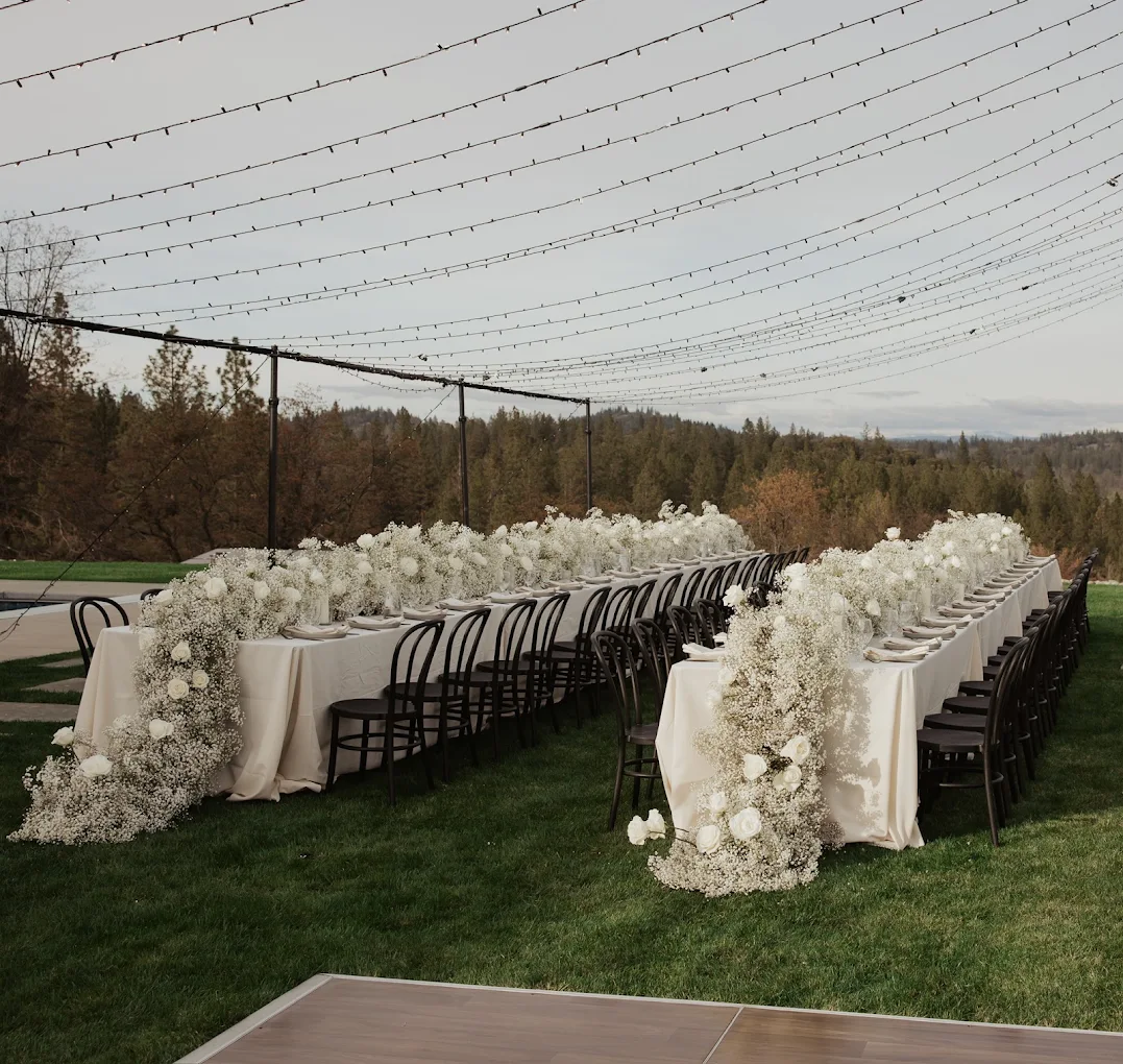 Dragonfly Events & Co.