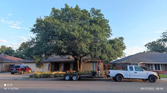 Flocy Tree Service