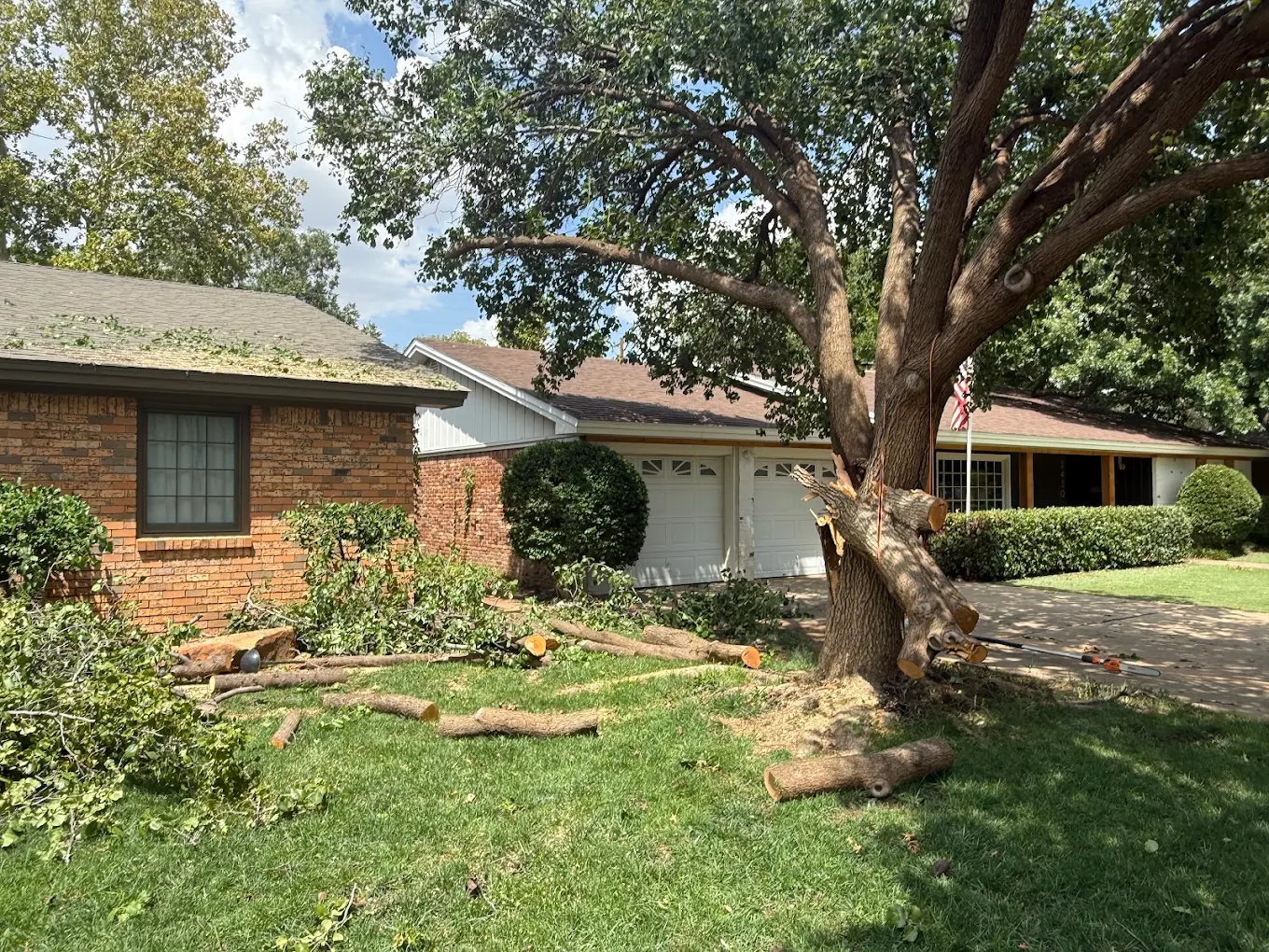 Benavides Tree Trimming & Removal