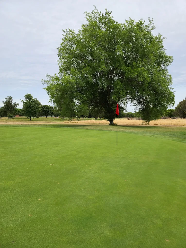 Bing Maloney Golf Course