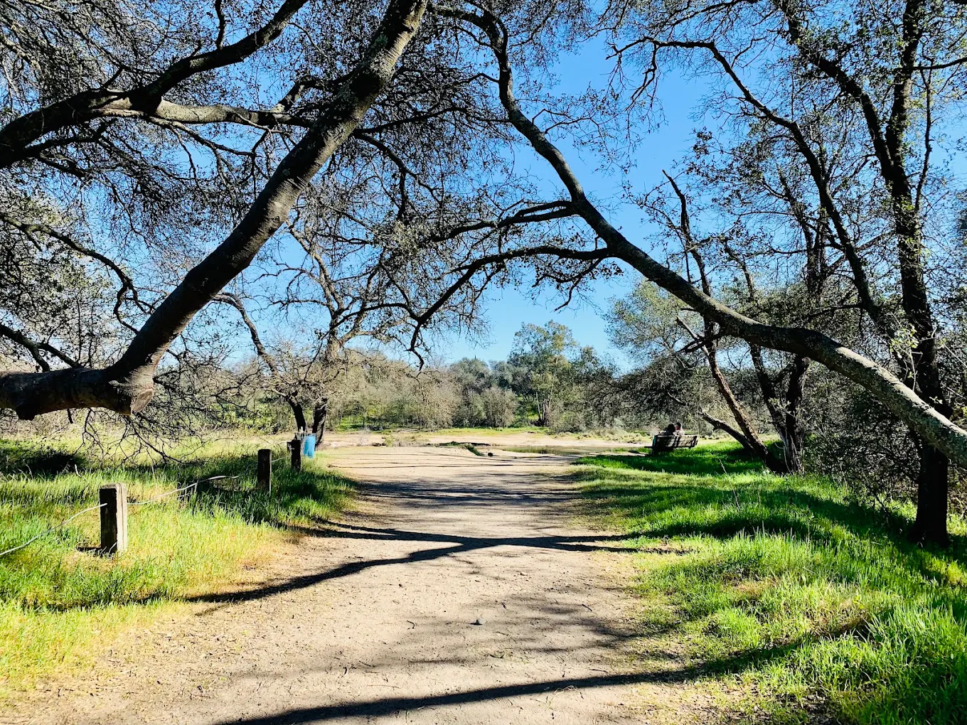 Ancil Hoffman Park