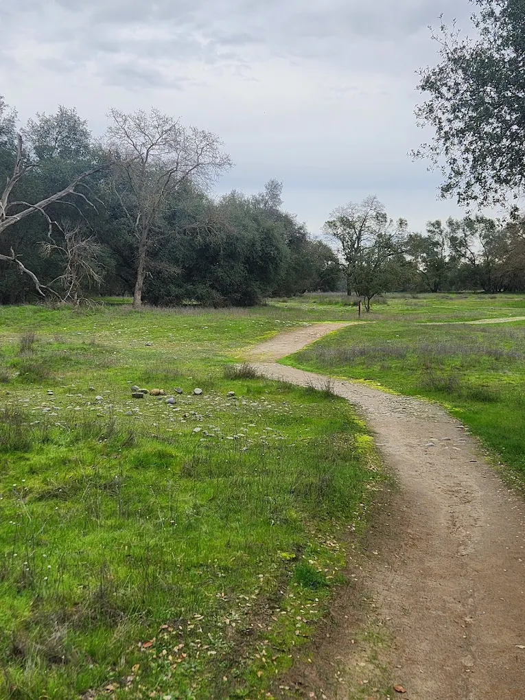 Ancil Hoffman Park
