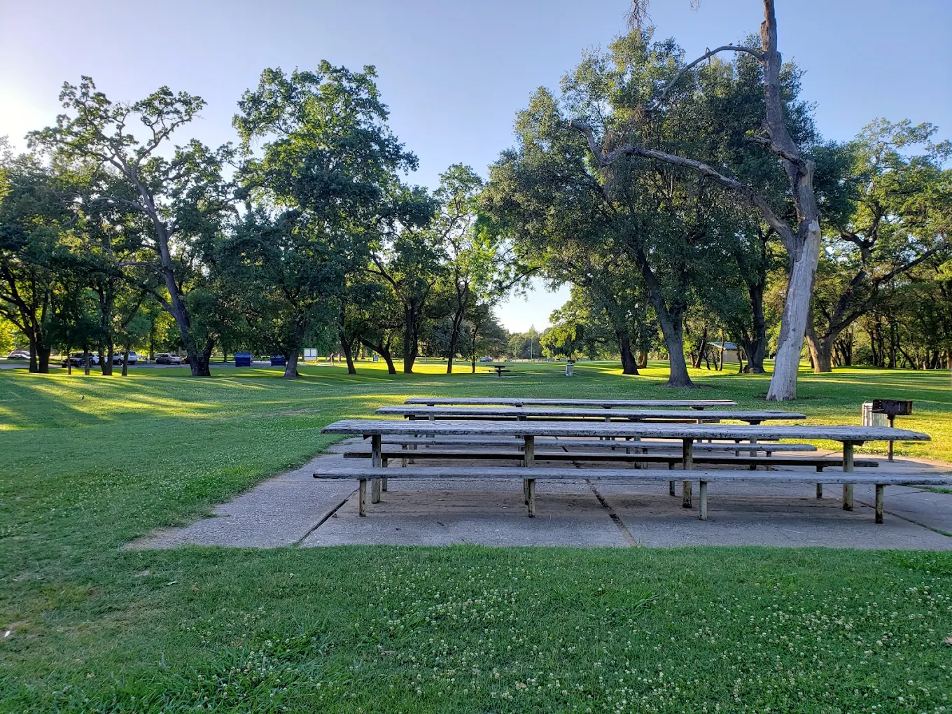Ancil Hoffman Park