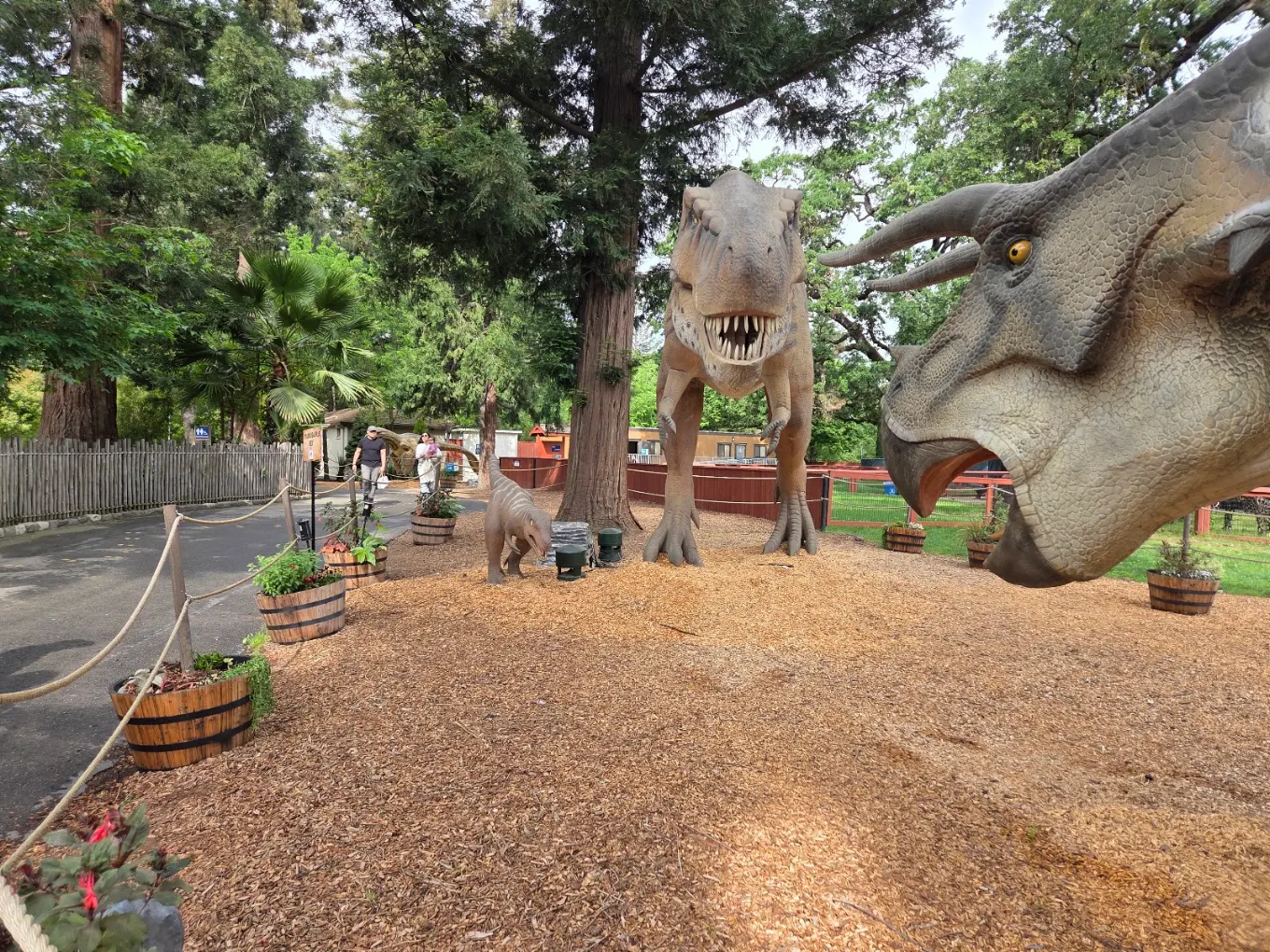 Sacramento Zoo
