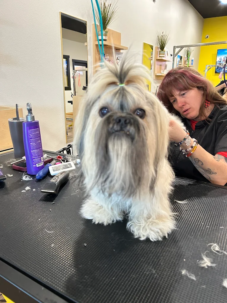 Well Groomed