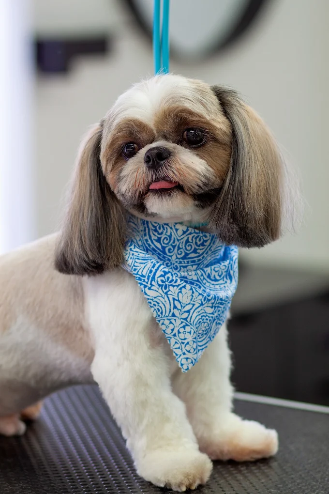 Tailored Tails