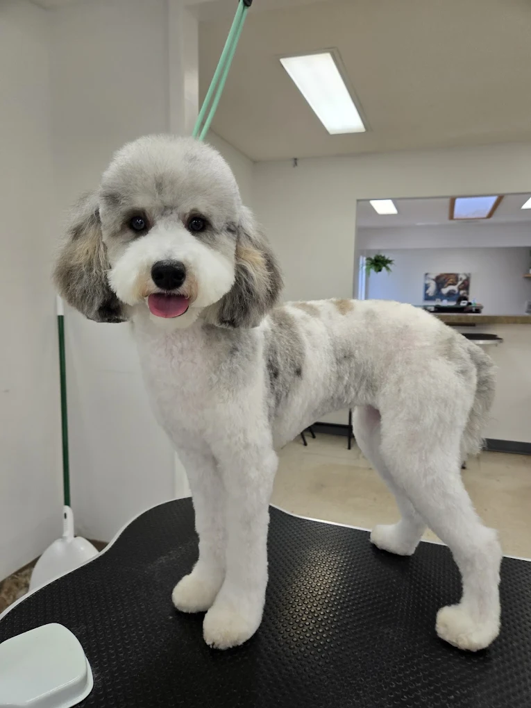 Tailored Tails