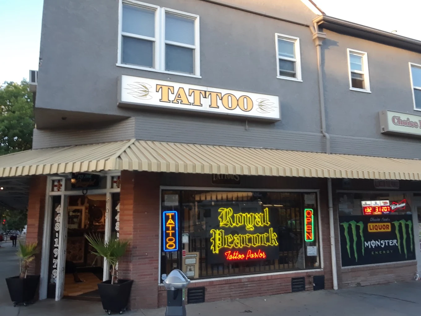 Royal Peacock Tattoo Parlor