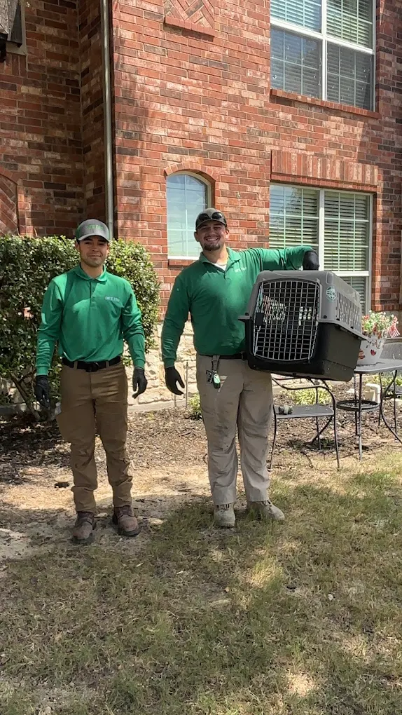 Safe Pro Pest Control